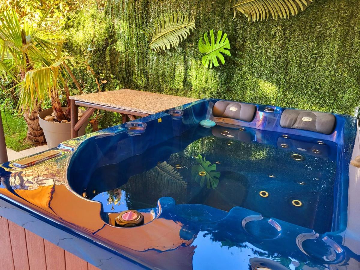 戛纳Evasion A Deux, Domaine Prestigieux, Jacuzzi Et Parking Prives, Piscine公寓 外观 照片
